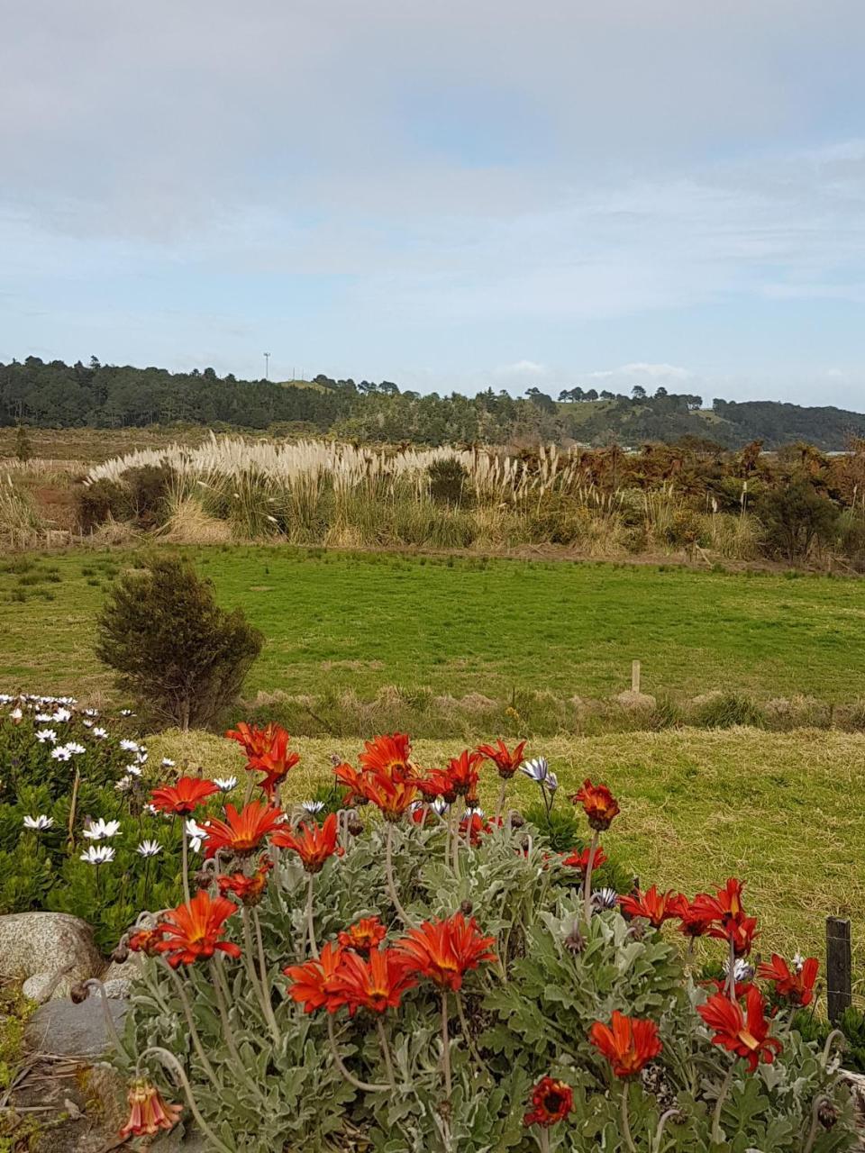 The Little Farm Coromandel Hotel Exterior foto