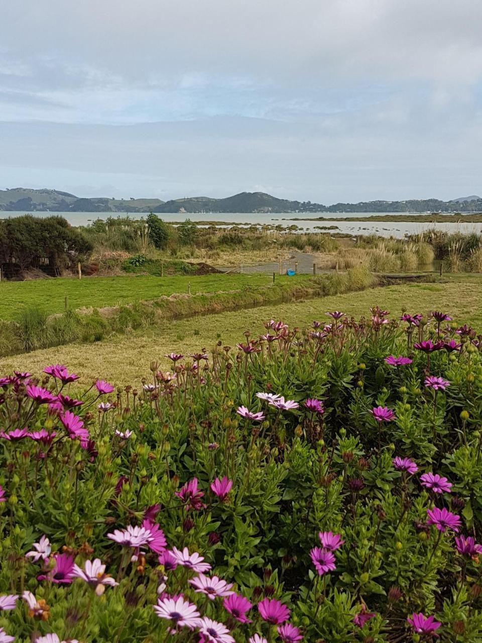 The Little Farm Coromandel Hotel Exterior foto