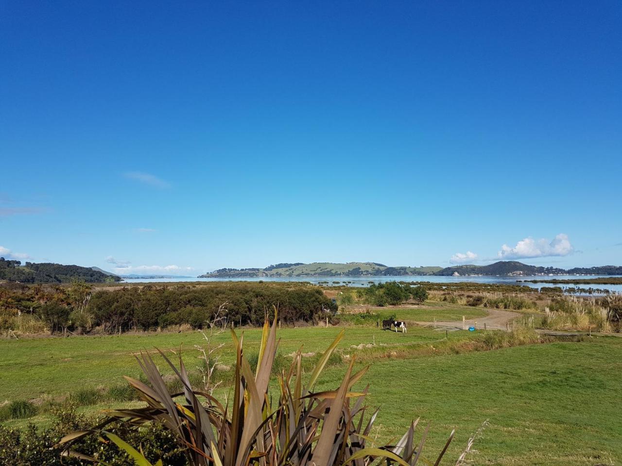 The Little Farm Coromandel Hotel Exterior foto